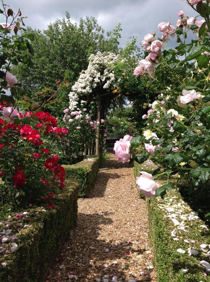 Orchard Cottage, Clematis Cottages, Stamford. Accessible Luxury Home. Esterno foto