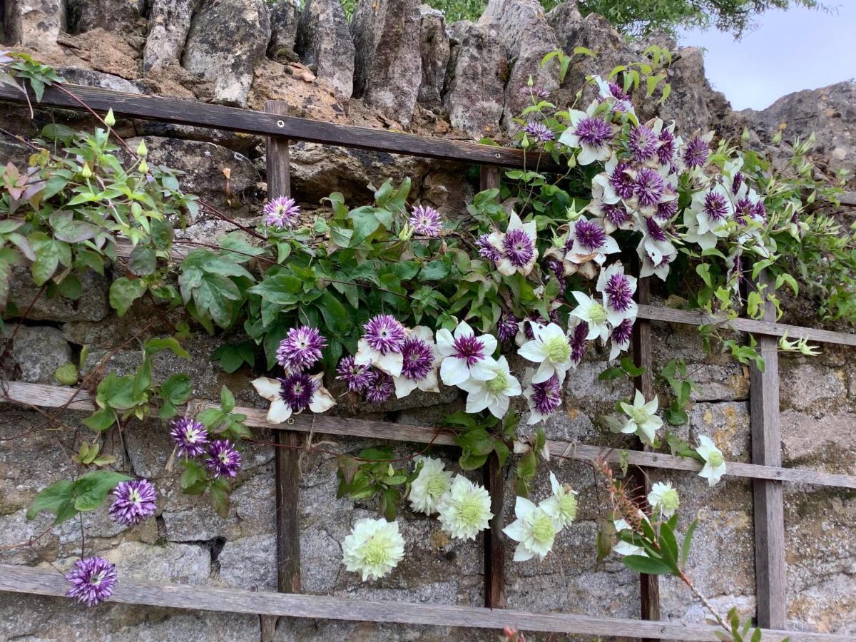 Orchard Cottage, Clematis Cottages, Stamford. Accessible Luxury Home. Esterno foto