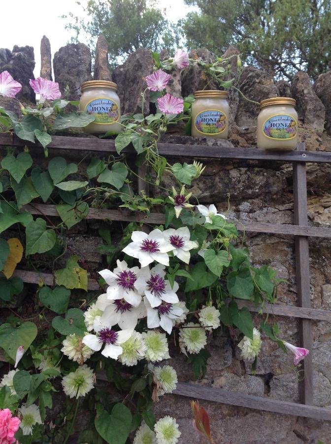 Orchard Cottage, Clematis Cottages, Stamford. Accessible Luxury Home. Esterno foto