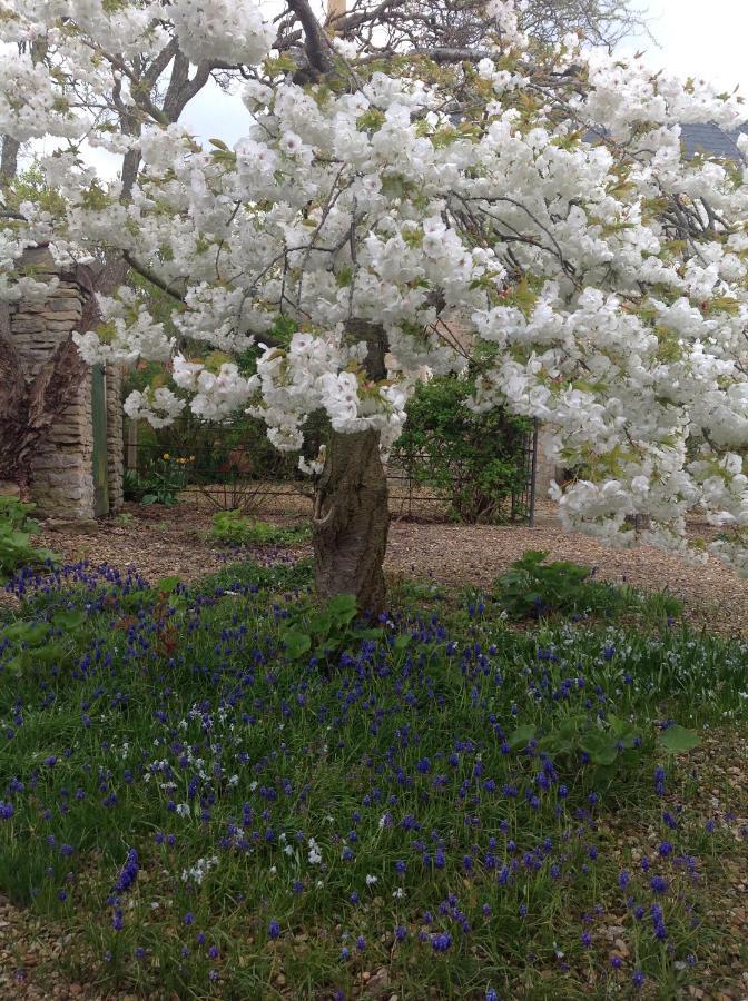 Orchard Cottage, Clematis Cottages, Stamford. Accessible Luxury Home. Esterno foto